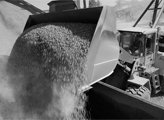 Технические работы на сайте